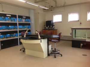 Norfolk County Aquaculture Lab