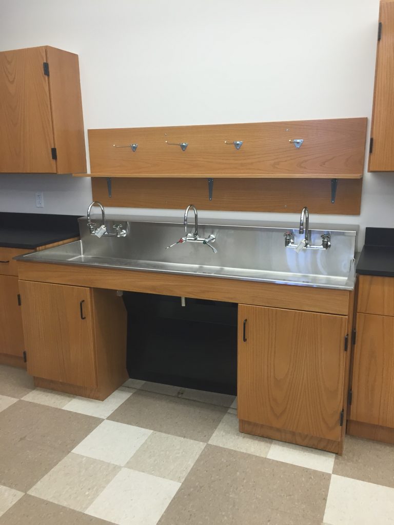 Housatonic Community College Lab Sink