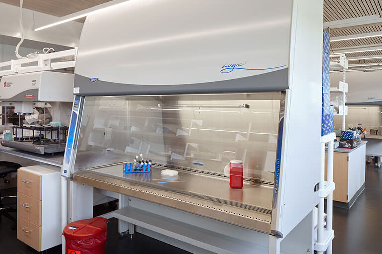 Biological Safety Cabinet Fume Hoods for Commercial Labs