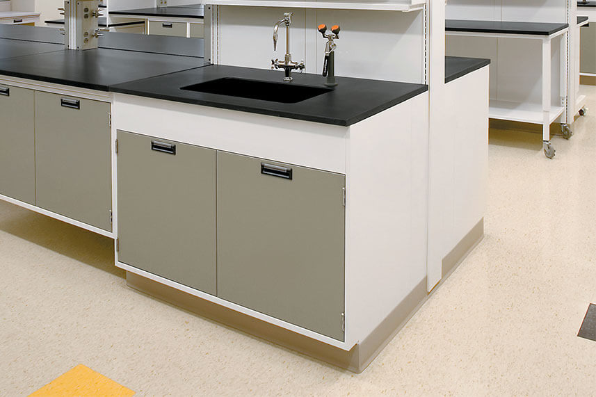 Sink + Fixtures in a Commercial Lab