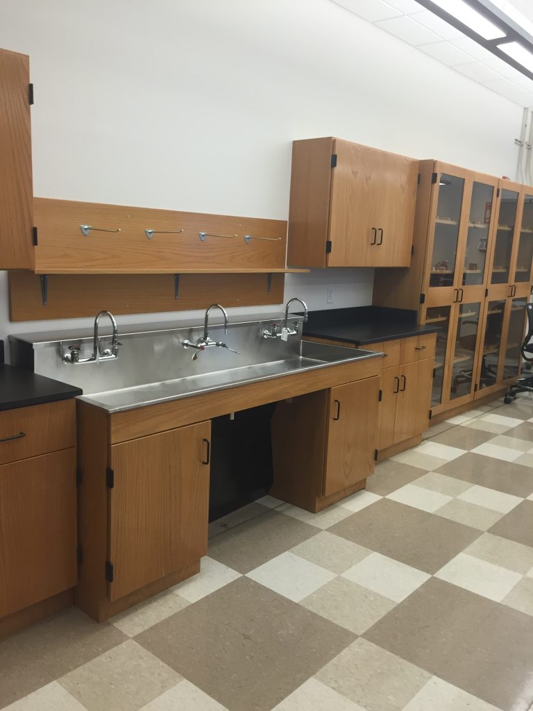 Housatonic Community College Lab Sink